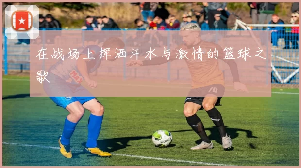 在战场上挥洒汗水与激情的篮球之歌