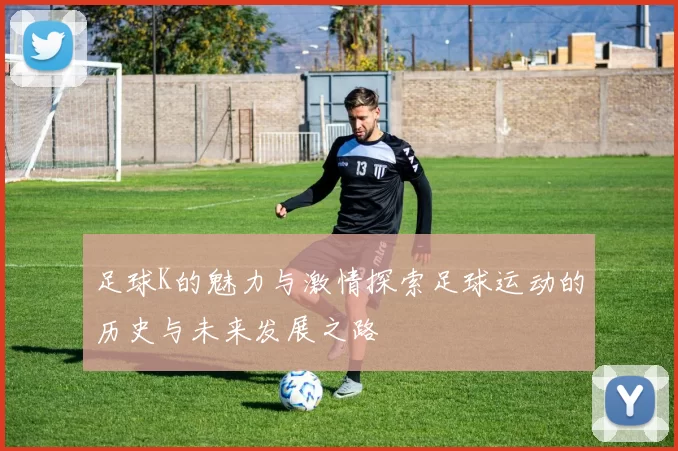 足球K的魅力与激情探索足球运动的历史与未来发展之路