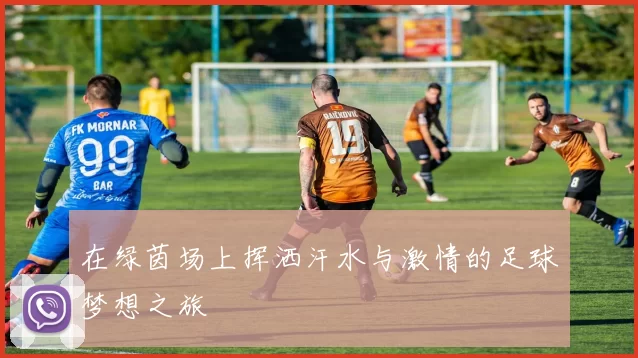 在绿茵场上挥洒汗水与激情的足球梦想之旅